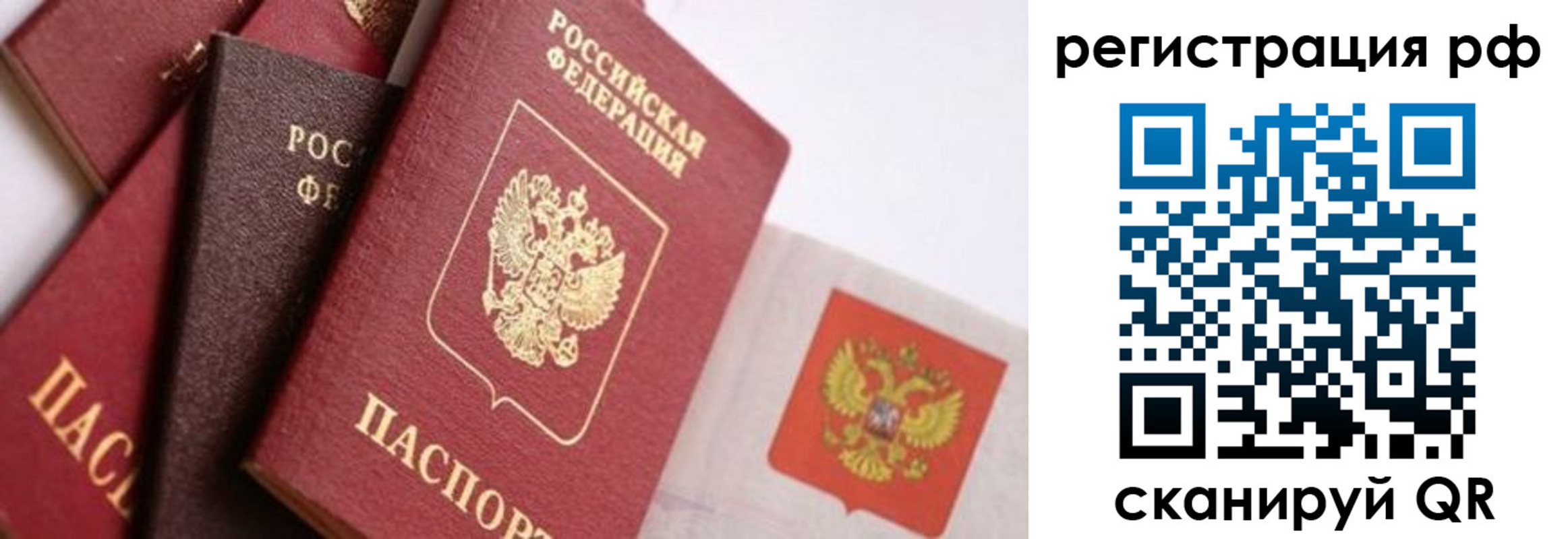 прописка гарантия в Киселёвске